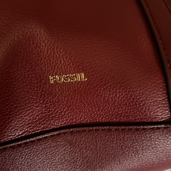 Real red fossil - Picture 3 of 5